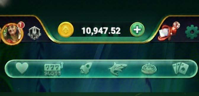 rani slots agent program earnings