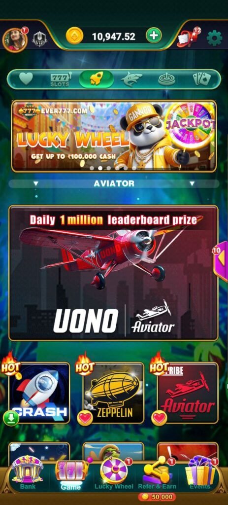 Rani Slots game interface